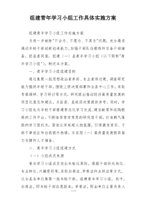 组建青年学习小组工作具体实施方案