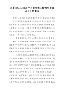 县委书记在2025年县委党建工作领导小组会议上的讲话