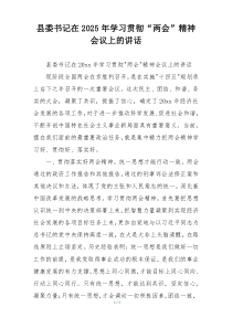县委书记在2025年学习贯彻“两会”精神会议上的讲话