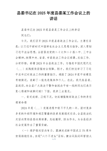 县委书记在2025年度县委某工作会议上的讲话