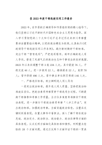 县20XX年度干部选拔任用工作报告