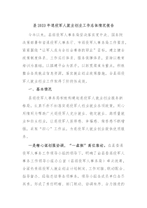 县20XX年退役军人就业创业工作总体情况报告