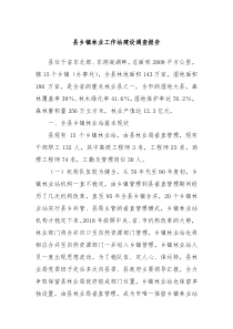 县乡镇林业工作站建设调查报告