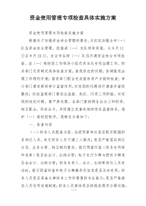 资金使用管理专项检查具体实施方案