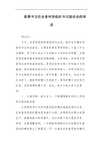 县委书记在全县村党组织书记座谈会的讲话