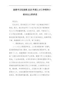 县委书记在县委2025年度人才工作领导小组会议上的讲话