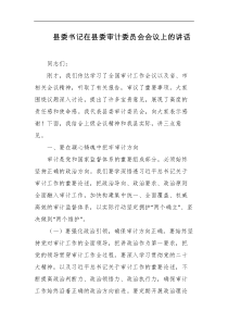 县委书记在县委审计委员会会议上的讲话