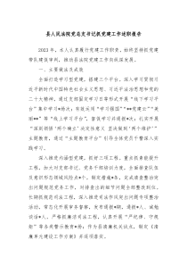 县人民法院党总支书记抓党建工作述职报告
