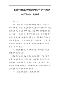 县委书记在县政府党组理论学习中心组集中学习会议上的讲话