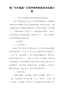 镇“兴村强基”双导师帮带制度具体实施方案