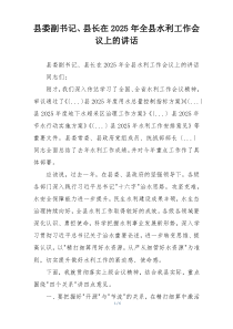 县委副书记、县长在2025年全县水利工作会议上的讲话