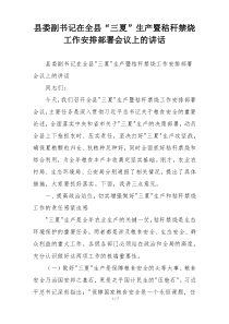 县委副书记在全县“三夏”生产暨秸秆禁烧工作安排部署会议上的讲话