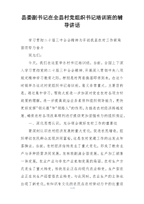 县委副书记在全县村党组织书记培训班的辅导讲话