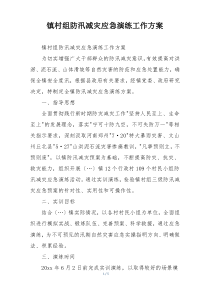 镇村组防汛减灾应急演练工作方案