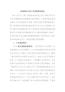 县域经济专班工作进展情况报告
