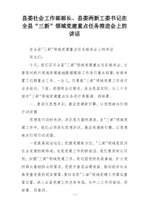 县委社会工作部部长、县委两新工委书记在全县“三新”领域党建重点任务推进会上的讲话