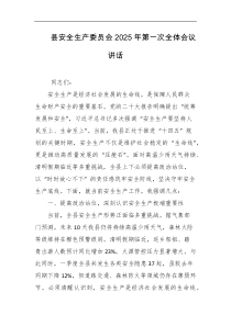 县安全生产委员会2025年第一次全体会议讲话