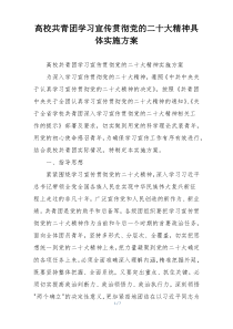 高校共青团学习宣传贯彻党的二十大精神具体实施方案