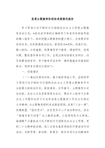 县委主题教育阶段性进展情况报告