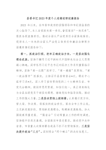 县委书记20XX年度个人述德述职述廉报告