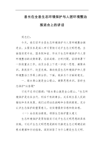 县长在全县生态环境保护与人居环境整治推进会上的讲话