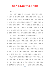 县长在县委经济工作会上的讲话