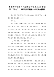团市委书记学习习近平总书记在2025年全国“两会”上重要讲话精神交流发言材料