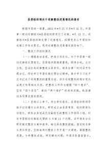 县委组织部关于巡察整改进展情况的报告