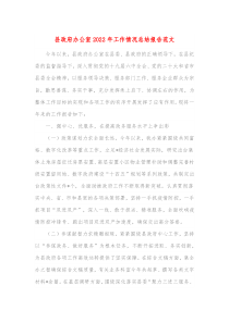 县政府办公室20XX年工作情况总结报告范文