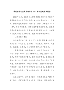 县政府办公室党支部书记20XX年抓党建述职报告