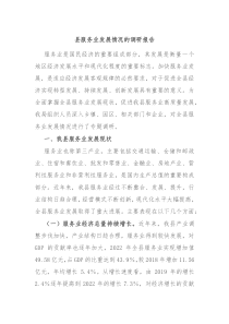 县服务业发展情况的调研报告