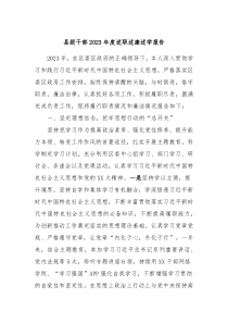 县级干部20XX年度述职述廉述学报告