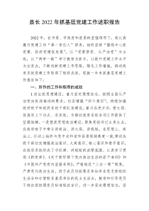县长20XX年抓基层党建工作述职报告