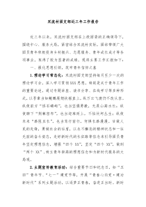 双流村团支部近三年工作报告
