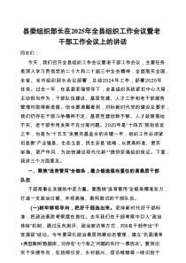 在2025年全县组织工作会议暨老干部工作会议上的讲话（县委组织部长）