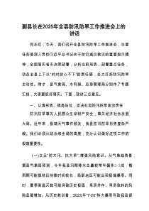 在2025年全县防汛防旱工作推进会上的讲话（副县长）