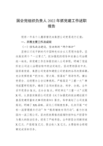 国企党组织负责人20XX年抓党建工作述职报告