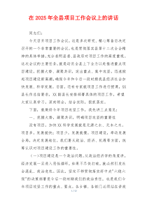 在2025年全县项目工作会议上的讲话