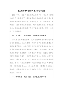 国企副职领导20XX年度工作述职报告