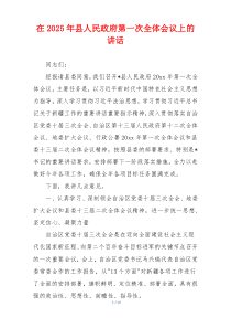 在2025年县人民政府第一次全体会议上的讲话
