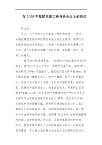 在2025年基层党建工作推进会议上的讲话