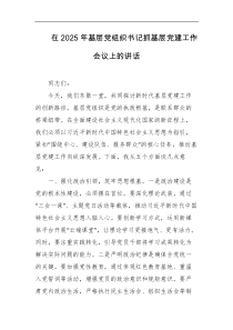 在2025年基层党组织书记抓基层党建工作会议上的讲话
