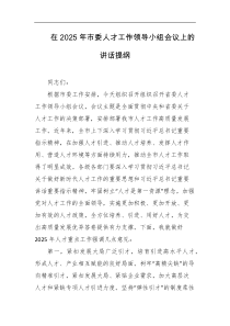 在2025年市委人才工作领导小组会议上的讲话提纲