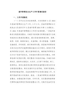 城市管理安全生产工作开展情况报告