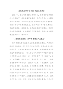基层党支部书记20XX年度述职报告
