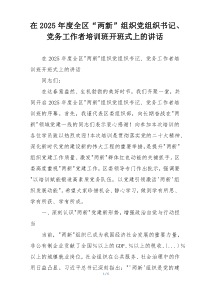 在2025年度全区“两新”组织党组织书记、党务工作者培训班开班式上的讲话