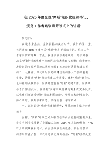 在2025年度全区两新组织党组织书记党务工作者培训班开班式上的讲话