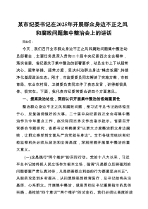 在2025年开展群众身边不正之风和腐败问题集中整治会上的讲话（纪委书记）