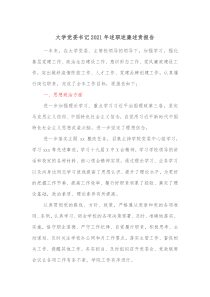 大学党委书记20XX年述职述廉述责报告