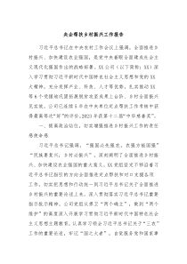 央企帮扶乡村振兴工作报告
